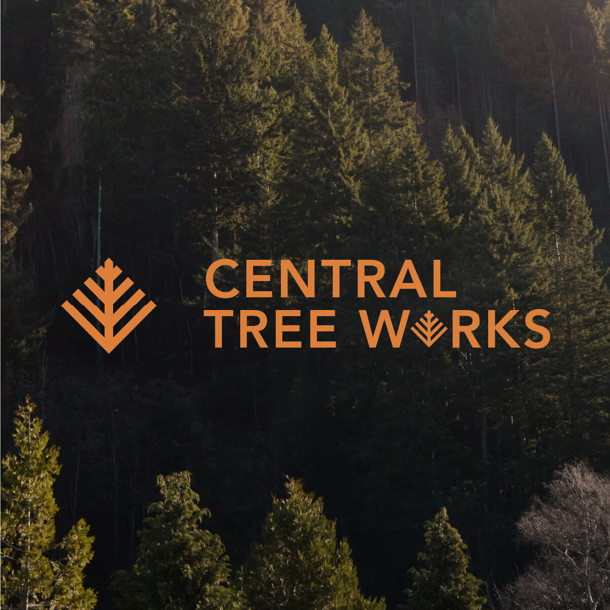 Central Tree Works Branding